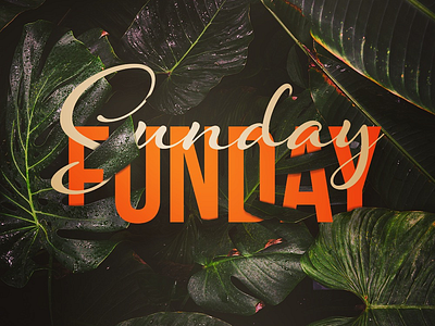 Sunday Funday sundayfunday