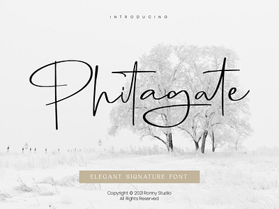 Phitagate - Elegant Signature Font font ligature font