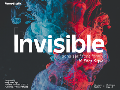 Invisible - Sans Serif Font Family display font