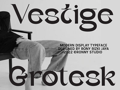 Vestige Grotesk - Modern Typeface grotesque font
