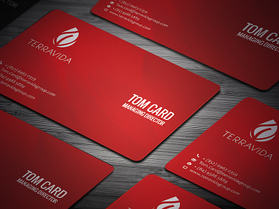 Terravida Business Cards bizness branding business card business cards card creative logo
