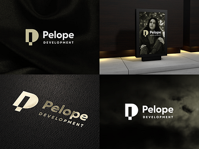 PD Logo 3d animation apparel branding design graphic design illustration logo ui vector
