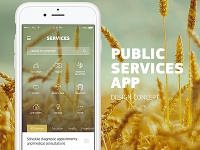Public Services App app concept government icons navigation services