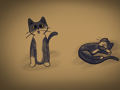 Kitty cat design illustration kitty procreate