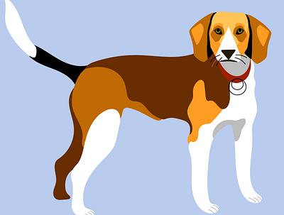 The beagle design graphic design icon illustration illustrator logo vector