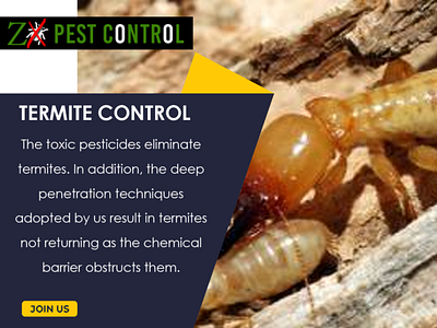 Pests & Type of solutions To Treat Them – ZX Pest Control by ZX Pest ...