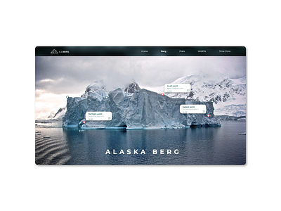 Website - ICEBERG