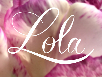 Lola calligraphy lettering romantic script typography