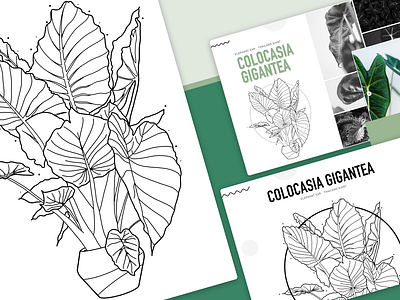 Colocasia Gigantea | Procreate plant sketch