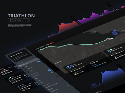 Triathlon Insights | Data Vis UI