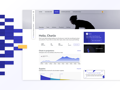 Race overview | Triathlon insights branding charts dashboard data visualization figma interaction interface layout network node organizer overview procreate product race triathlon ui ux web wireframe
