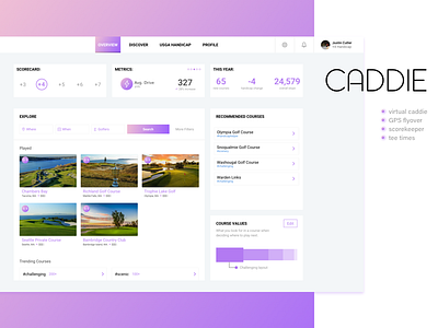 Golf Caddie admin dashboard design golf golf app gradient interaction sketch stats ui ux web
