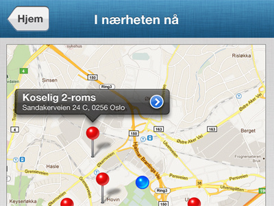 Web-app map interface