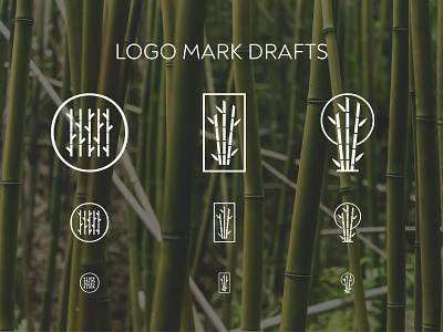 Takeboo | Logo Drafts bamboo biology branding eco eco friendly eco logo icon design italian japan japanese lithuania lithuanian logo logo design logo mark nature nature logo symbol turin vilnius