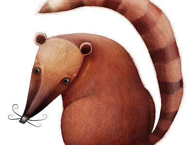 Nosy bear animal bear character character design coati creature illustration