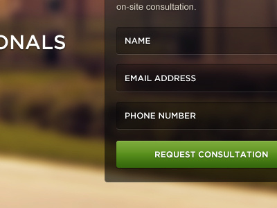 Consultation Form consult form leads fields inputs ui design homepage landing page