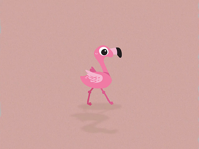 Walking Flamingo animation camera flamingo motion graphics tracking walking flamingo