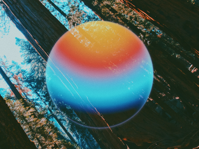 10 x 3650
