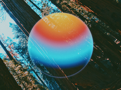 1023 | 3650 gradient logo photography retro vibes