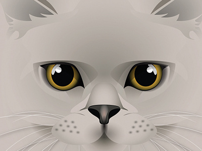 Lily Cat illustrator pet portrait