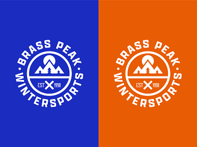 Brass Peak Wintersports badge branding dailylogochallenge design logo