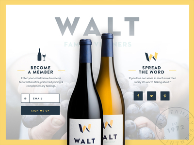 WALT Wines Web Lander bottles brand aid branding identity lander marketing packaging wine