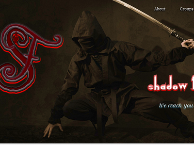 Shadow Fighter Web UI/UX Design app branding de design graphic design icon logo ui