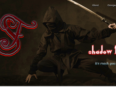 Shadow Fighter Web UI/UX Design app branding de design graphic design icon logo ui