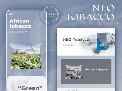 Web site for tobacco company