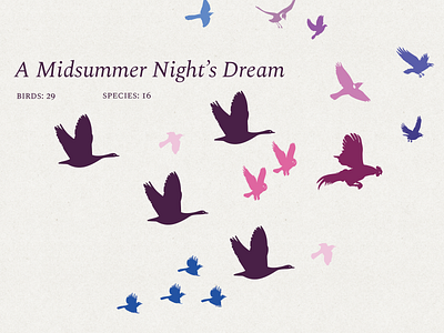 A Midsummer Night's Dream birds data visualization dataviz illustration infographic information design poster design shakespeare vector