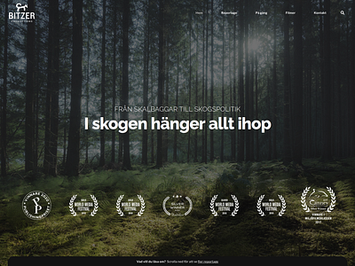 Bitzer Web branding design typography ui