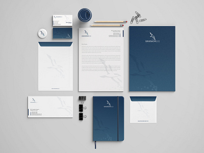 Professional Stationery Design bhabotaranroy business card corporate identity design envelope letterhead logo stationery