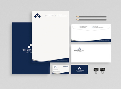 Professional Stationery Design bhabotaranroy branding business card corporate identity design envelope graphic design letterhead logo stationery