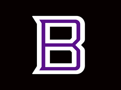 Buckhorn School Logo brand identity branding design identity identity design logo logo design vector