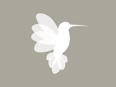 Hummingbird Logo bird design hummingbird logo
