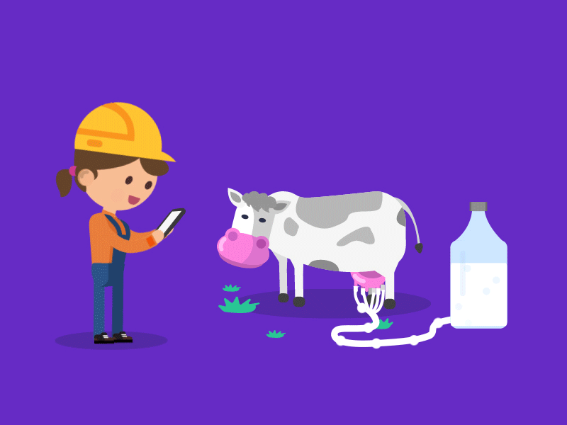 Weekend Chores after effects animated animation cartoon cow dribbble gif gifs illustration milk motion design shot