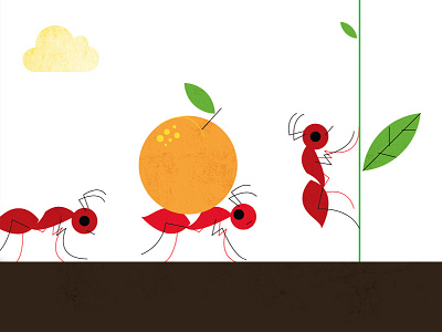 Ants illustration