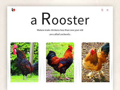 Rooster Inner Page design interface menu minimal navigation red site style typography ui ux web