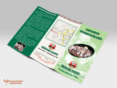 3 fold brochure