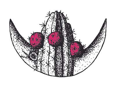 Organ Pipe Cactus arizona cactus desert flora fruit fruit illustration handmade moon night organ pipe pitahaya