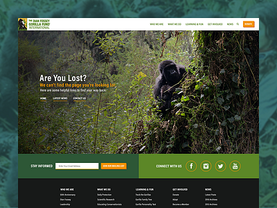 Dian Fossey Gorilla Fund 404 Page web design