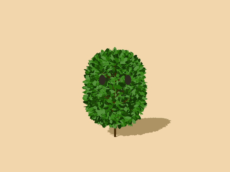 Little Tree 2d animation c4d cinema 4d leaf lizardfei motion design motion graphics sketch and toon tree wind
