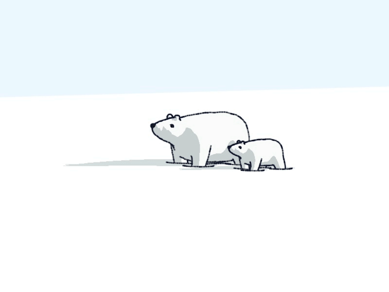 Polar Bear 2d animal animation c4d cinema 4d gif global warming lizardfei motion design motion graphics polar bear sketchandtoon