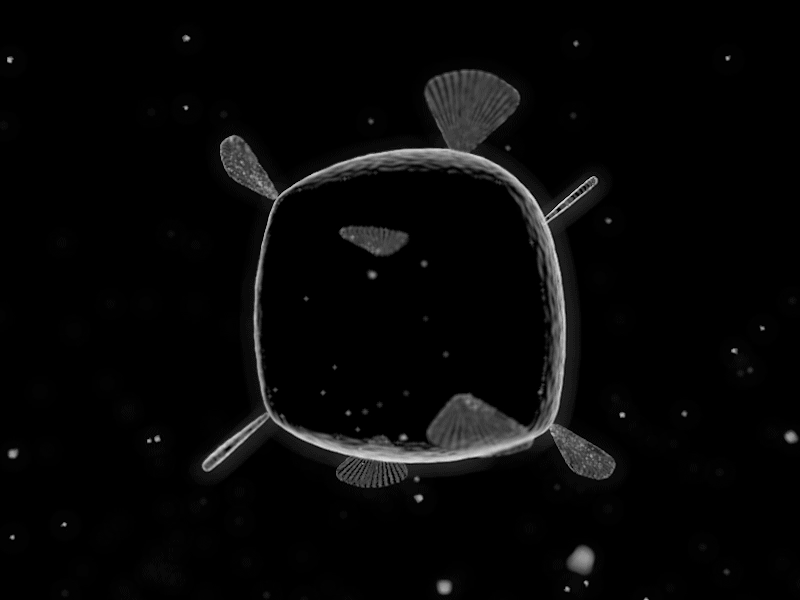 Deep in the ocean - Plankton 2d animation c4d cinema 4d deep see gif lizardfei motion design motion graphics ocean plankton sketchandtoon