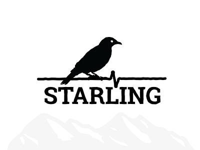 Starling Winter Hats black crow gothic icon logo minimal monotone raven rough stamp starling