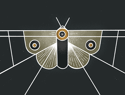 Moth Concept album design drawing geometric illustration moth procreate symmetry vector