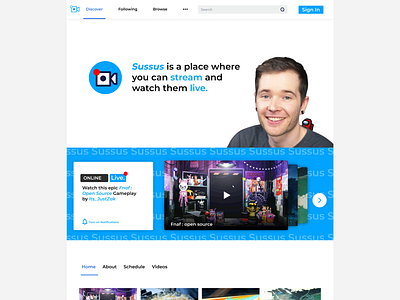 Sussus dantdm gaming streaming ui web webdesign website