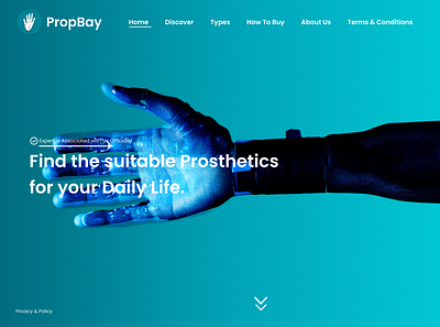 PropBay Web Design branding ui