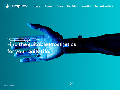 PropBay Web Design