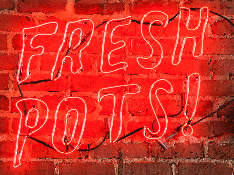 Fresh Pots! branding lettering light neon neon sign real signage typography
